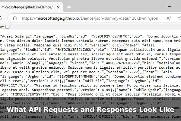 What API Requests and Responses Look Like