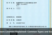 Software Licenses Explained: Common Types and Examples
