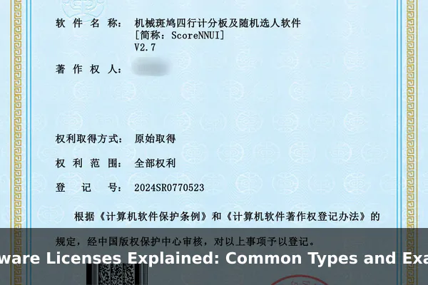 Software Licenses Explained: Common Types and Examples