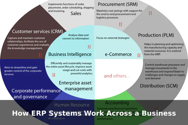 How ERP Systems Work Across a Business