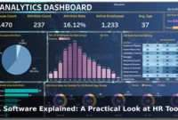 HR Software Explained: A Practical Look at HR Tools