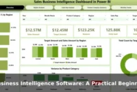 Business Intelligence Software: A Practical Beginner's Guide