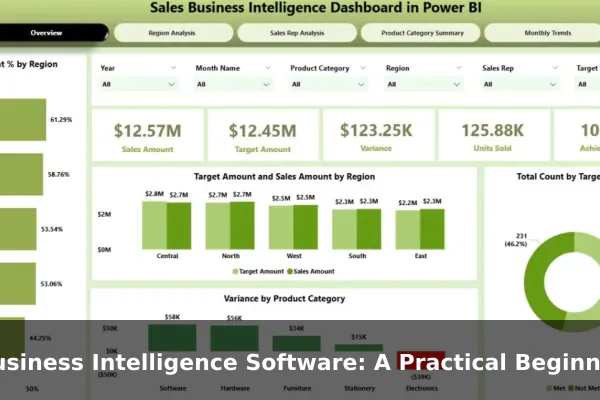 Business Intelligence Software: A Practical Beginner's Guide
