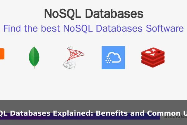 NoSQL Databases Explained: Benefits and Common Use Cases