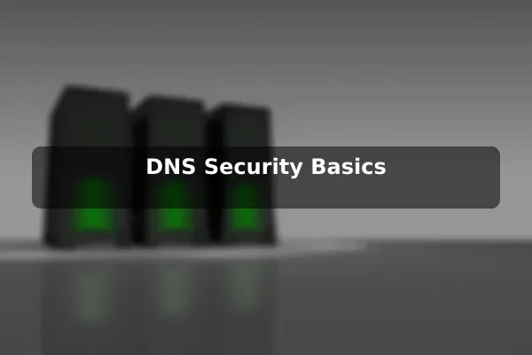 DNS Security Basics