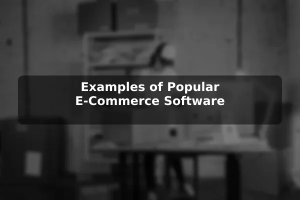 Examples of Popular E-Commerce Software