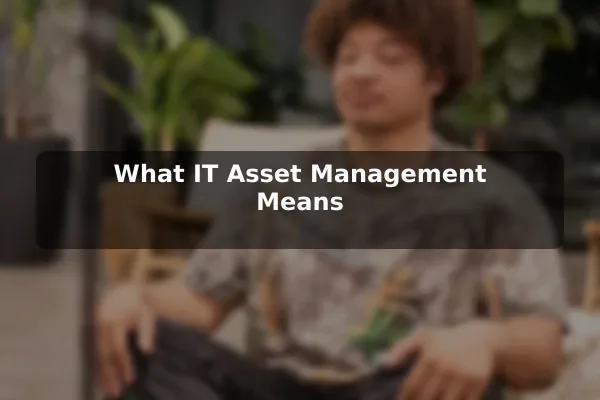 What IT Asset Management Means